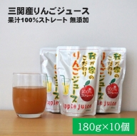 三関産りんごジュース10個[J7801]