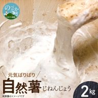 元気ばりばり じねんじょう 自然薯 2kg N020-YB354