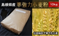準強力小麦粉10kg(ミナミノカオリ)[パン作り ピザ作り 製パン 手造りパン 国産]