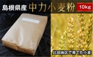 中力小麦粉10kg（農林61号）【うどん 麺 製麺 国産】