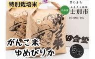 【北海道士別市】田舎塾の特別栽培米「がんこ米ゆめぴりか」5kg