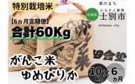 【北海道士別市】（6ヵ月定期便）田舎塾の特別栽培米「がんこ米ゆめぴりか」10kg×6ヵ月