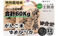 【北海道士別市】（12ヵ月定期便）田舎塾の特別栽培米「がんこ米ゆめぴりか」5kg×12ヵ月