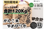【北海道士別市】（12ヵ月定期便）田舎塾の特別栽培米「がんこ米ゆめぴりか」10kg×12ヵ月