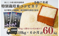 定期便６か月【令和7年度産　特別栽培米】埼玉県かわじま町　天領米（コシヒカリ） 5kg×２袋　計６０kg