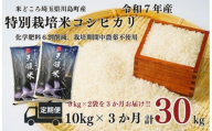 定期便3か月【令和7年度産　特別栽培米】埼玉県かわじま町　天領米（コシヒカリ） 5kg×２袋　計30kg