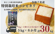 定期便６か月【令和7年度産　特別栽培米】埼玉県かわじま町　天領米（コシヒカリ） 5kg×1袋　計30kg