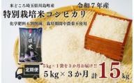 定期便3か月[令和7年度産 特別栽培米]埼玉県かわじま町 天領米(コシヒカリ) 5kg×1袋 計15kg