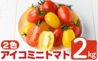 [期間限定!2024年2月上旬〜4月下旬の間に発送予定]農家直送(アイコ)ミニトマト2kg(2色)[夢源FARM]国産 野菜 やさい トマト とまと ミニトマト 完熟