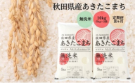 定期便10ヶ月 無洗米 秋田県産 あきたこまち 10kg (5kg×2袋)×10回 計100kg 令和6年産