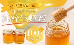 【ふるさと納税】025-987 日本 ミツバチ の 純粋 生蜂蜜 100g
