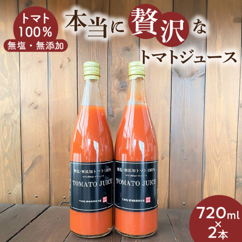 トマト100%無塩・無添加　本当に贅沢なトマトジュース 720ml×2本 H004-154 1162764 - 愛知県碧南市