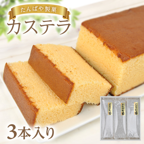SZ0220　カステラ 3本入り1箱 1162903 - 山形県酒田市