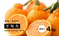 【先行予約】Saito Orange Farmの家庭用不知火4kg ｜ 柑橘 みかん ミカン フルーツ  果物 でこぽん デコポンと同品種 愛媛　※離島への配送不可　※2025年3月中旬頃より順次発送予定