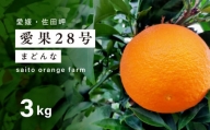 【先行予約】【数量限定】Saito Orange Farmの愛果28号（まどんな）3kg ｜ 柑橘 みかん ミカン フルーツ  果物 愛媛  高級 ブランド 限定 品種 甘い　※離島への配送不可　※2025年1月下旬頃より順次発送予定