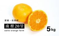 【先行予約】Saito Orange Farmの南柑20号5kg ｜ 温州みかん 代表 柑橘 みかん ミカン フルーツ  果物 愛媛　※離島への配送不可　※2024年12月下旬頃より順次発送予定