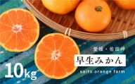 【先行予約】Saito Orange Farmの早生（わせ）みかん10kg ｜ 柑橘 みかん ミカン フルーツ  果物 愛媛　※離島への配送不可　※2024年12月上旬頃より順次発送予定