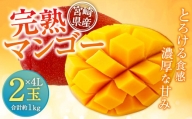 ＜宮崎県産 完熟マンゴー 4L×2玉(合計 約1kg)＞ ※2024年5月上旬～7月中旬迄に順次出荷します。