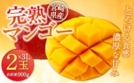 ＜宮崎県産 完熟マンゴー 3L×2玉(合計 約900g)＞ ※2024年5月上旬～7月中旬迄に順次出荷します。