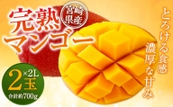 ＜宮崎県産 完熟マンゴー 2L×2玉＞ ※2024年5月上旬～7月中旬迄に順次出荷します。 フルーツ 果物 くだもの