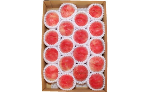 08-02-018　もも(8月旬の白桃)5kg