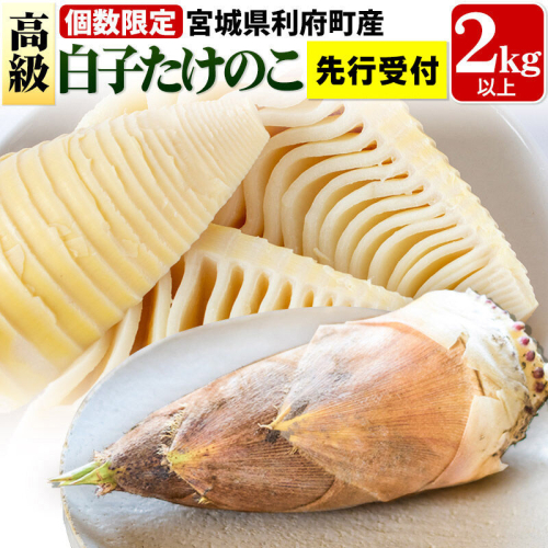 タケノコ 【 先行受付 2026年4月以降発送】宮城県 利府町産 採れたて 高級白子たけのこ 皮付き2kg以上（2～6本）筍 野菜 国産 新鮮 旬 1163440 - 宮城県利府町