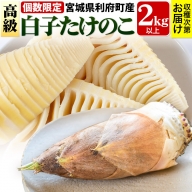 宮城県利府町産 採れたて 高級白子たけのこ 皮付き2kg以上（2～6本）筍 タケノコ 野菜 国産 新鮮 旬