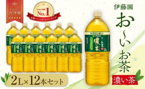 お～いお茶 濃い茶 2L×12本セット［おーいお茶 ペットボトル 2リットル ケース 箱 伊藤園 静岡］ 1163624 - 静岡県御前崎市