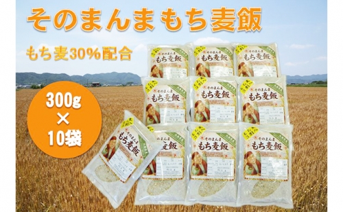 そのまんま もち麦飯 ダイエットレシピセット 116366 - 兵庫県福崎町