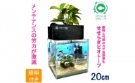 水槽セット　せせらぎビオトープ　20cm型照明　植物　魚　(黒）