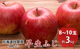 【ふるさと納税】＜2024年10月中旬よりお届け＞ 北海道壮瞥町 りんご 品種名「早生ふじ」8〜10玉約3kg フルーツ 果物 りんご 果樹