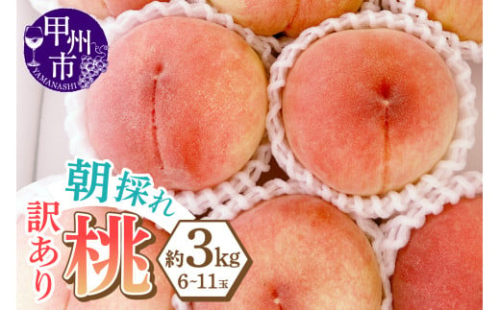 味自慢桃【訳あり品】を感謝込めて朝どれでお贈りします！約3kg（6～11玉）【2025年発送】（LMS）B-418 【桃 もも モモ 令和7年発送 期間限定 山梨県産 甲州市 フルーツ 果物】
