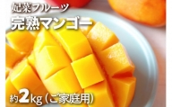 【2024年発送】沖縄県糸満産！妃菜フルーツ完熟マンゴー約2kg（ご家庭用）