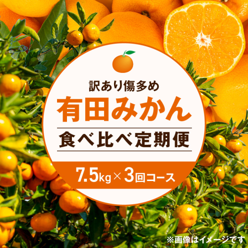 【定期便】(2026年10月発送スタート)【訳あり傷多め 約7.5kg×3回コース】有田みかん・食べくらべ3種【頒布会】 ※着日指定不可_ZF6311n 1164496 - 和歌山県湯浅町