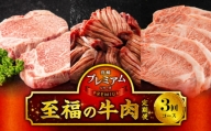 プレミアムシリーズ至福の牛肉定期便_M144-T2309-4