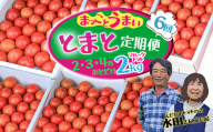 〜2024年度は見合わせ〜2025年度は白箱でトライ予定[数量限定]まっことうまい!水田さんのフルーツトマト2kg定期便(全6回 / 化粧箱入)