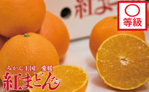 【先行予約】【2025年11月下旬以降順次発送】数量限定 紅まどんな 〇等級 化粧箱 L玉～5L玉 高級 紅まどんな 柑橘 フルーツ 個包装 紅マドンナ 果物 おすすめ柑橘紅まどんな 高級柑橘の紅まどんな くだもの 人気 おすすめ 贈答 ギフト 紅まどんな 愛媛県 松山市 送料無料 えひめのフルーツ紅まどんな マドンナ まどんな