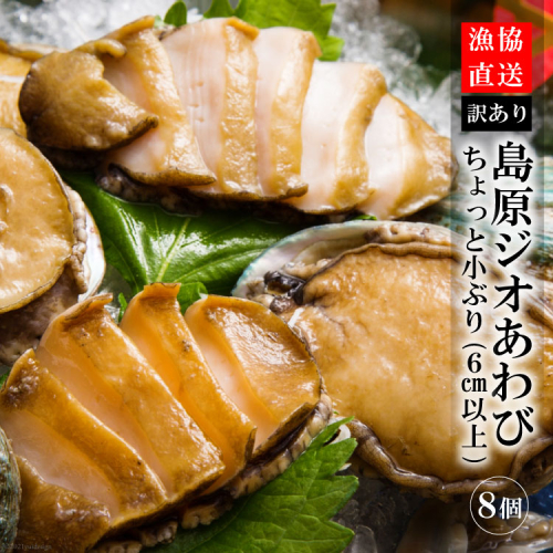 AF030【訳あり】漁協直送！島原ジオあわび 8個（ちょっと小ぶり：6cm以上） 116495 - 長崎県島原市