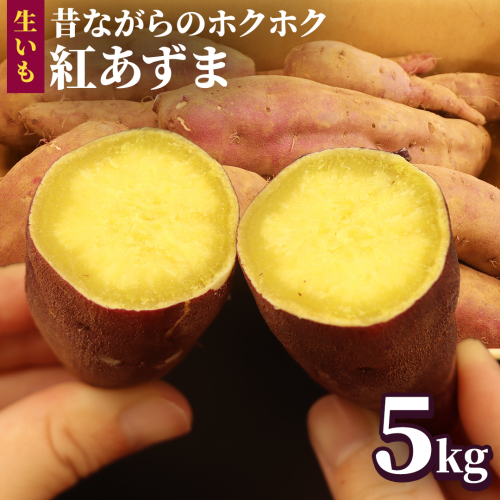 さつまいも 【 紅あずま 】 5kg 国産 農園 野菜 サツマイモ 芋 生いも 生芋 ベニアズマ 期間限定 甘さ控えめ ホクホク お菓子作り 料理 煮物 味噌汁 ご飯 1165049 - 茨城県牛久市