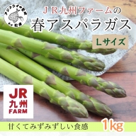 【A9-025】JR九州ファームの春アスパラガス　Lサイズ1kg 野菜 新鮮 アスパラガス アスパラ 春アスパラ 甘み