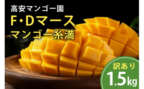 【2027年発送】高安マンゴー園 訳あり F・Dマースマンゴー 糸満 1.5kg 3～6玉 マンゴー アップルマンゴー アーウィンマンゴー 国産 完熟マンゴー 果物 南国 くだもの フルーツ 完熟 夏 旬 特産品 沖縄 お取り寄せ お土産 甘い 濃厚 糸満市  沖縄県 糸満市