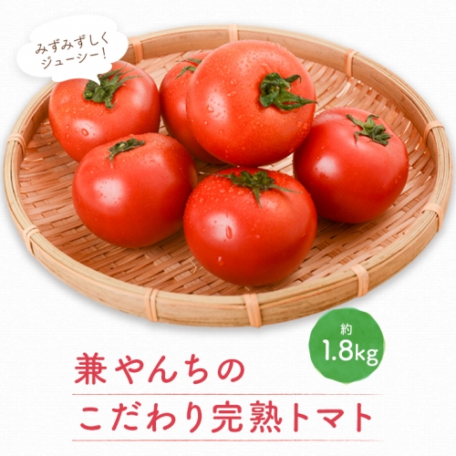 こだわり完熟トマト 1165979 - 鹿児島県肝付町