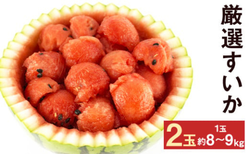 【2026年5月上旬より発送】 厳選  すいか 2玉 8kg～9kg メロンドーム 1166851 - 熊本県菊池市