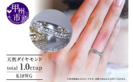 指輪 天然 ダイヤモンド 1.0ct フルエタニティ SIクラス Nadine ナディーヌ【K18 WG】r-170（KRP）R33-1410