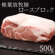 【予約受付】椎葉放牧豚 ロース ブロック 500g