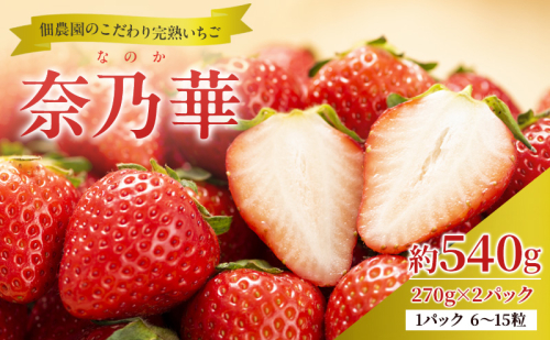 いちご 完熟 奈乃華 約540g(270g× 2パック ) 佃農園のこだわり フルーツ 果物 旬 産地直送 旬のフルーツ 旬の果物 お取り寄せ デザート イチゴ 苺 なのか 冷蔵 奈良 奈良県 大和郡山市 BN001 116744 - 奈良県大和郡山市