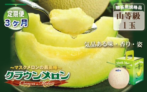 【3ヶ月定期便】クラウンメロン（山等級）１玉入  116767 - 静岡県袋井市