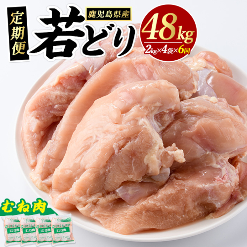 ＜定期便・全6回＞まつぼっくり 若どりムネ肉(計48kg・8kg×6回)【まつぼっくり】matu-1167 1168316 - 鹿児島県長島町