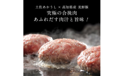 t214cdm　＜高騰に伴い2025年1月1日以降、寄附額改定予定＞ 6ヶ月定期便 創業50年老舗レストランの幻の和牛あかうしハンバーグ130g×10ケ 土佐あかうし 美鮮豚 牛肉 高級 ハンバーグ 冷凍 美味しい 肉汁ハンバーグ 焼くだけ 小分け 個包装 高級 国産 定期便