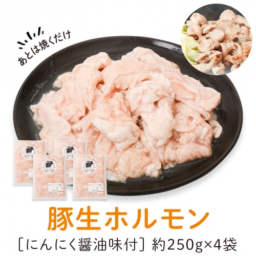 豚生ホルモンにんにく醤油味付(計1kg・250g×4)  1169032 - 鹿児島県肝付町